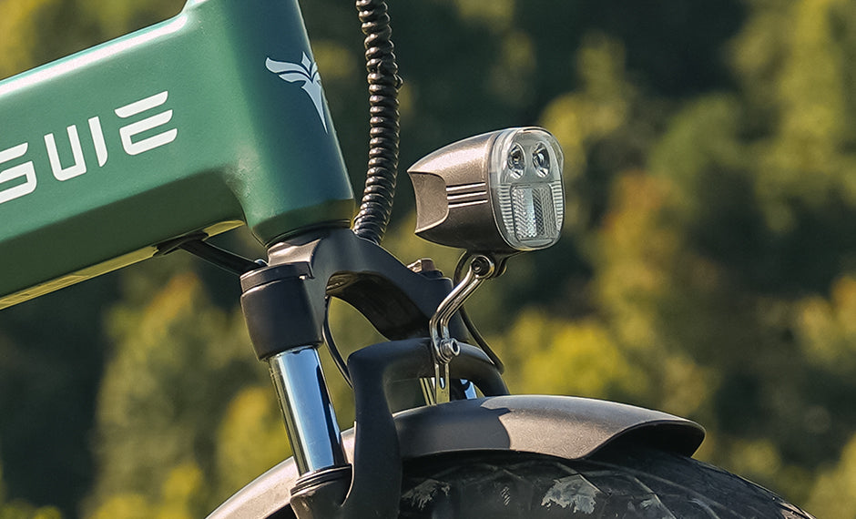 ENGWE EP‑2 3.0 Boost | Vélo électrique pliant Fat bike 20" | Freins à disques hydrauliques | Autonomie 120 km - Nova Bikes