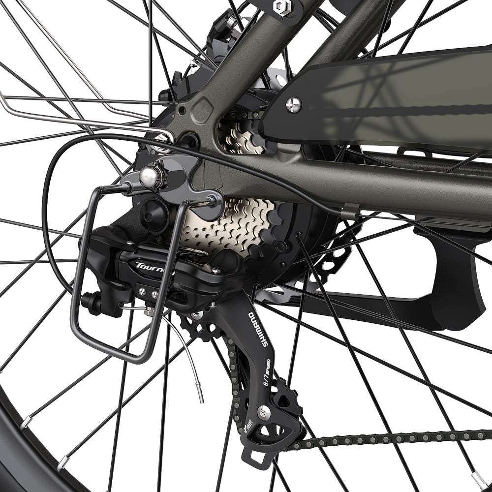 FAFREES F26 Pro | Vélo électrique de Ville 26" | 250W | V-max 25 km/h | Autonomie 110 km | Batterie 14,5Ah | Support APP - Nova Bikes