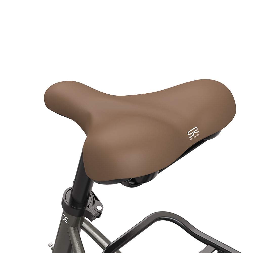 FAFREES F26 Pro | Vélo électrique de Ville 26" | 250W | V-max 25 km/h | Autonomie 110 km | Batterie 14,5Ah | Support APP - Nova Bikes