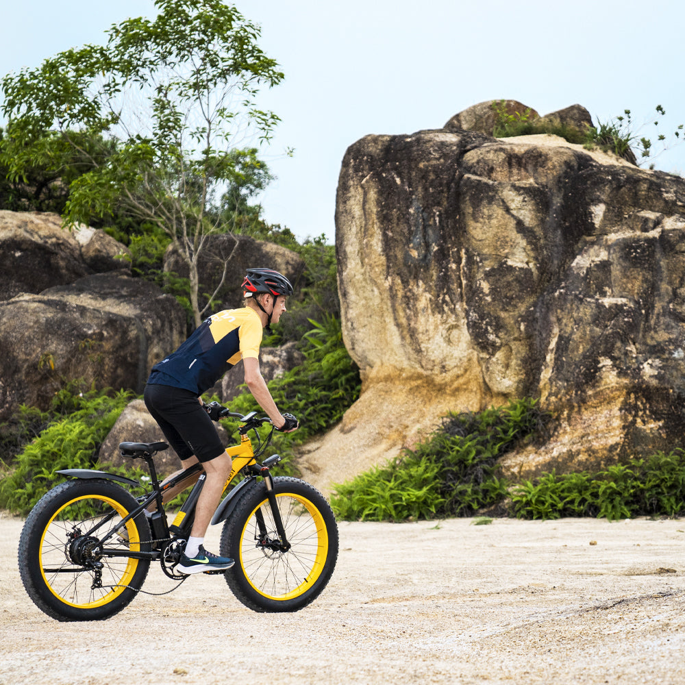 GOGOBEST GF600 | Vélo électrique tout-terrain 26" Fat Bike | 1000W | V-max 25 km/h | Autonomie 110 km - Nova Bikes