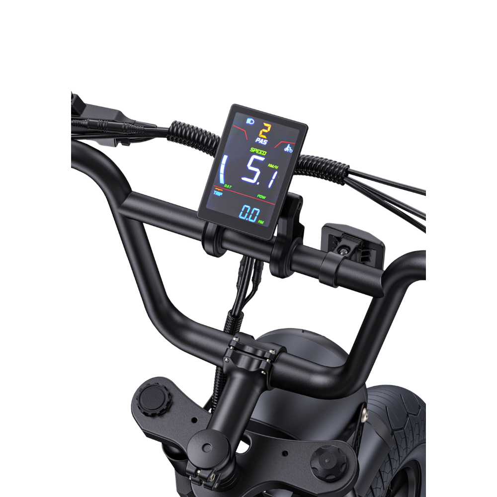 ENGWE M1 | Vélo électrique pliant 20" Fat Bike | Double batterie | Autonomie 170 km - Nova Bikes