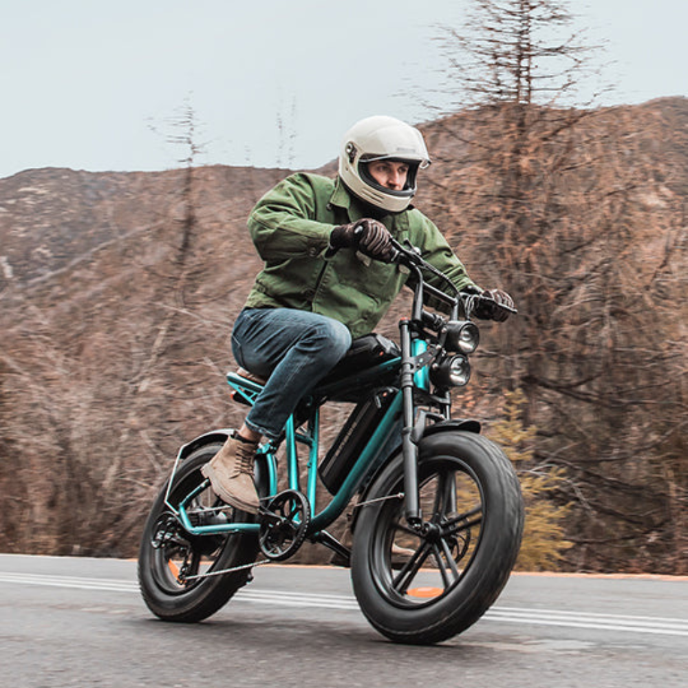 ENGWE M20 | Vélo électrique tout terrain 20" Fat Bike | Double batterie | Suspension hydraulique et à air | Autonomie 150 km - Nova Bikes